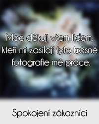 kvetinarstvi